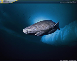 Illustration for article titled 30 images
